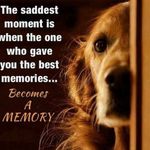 Sherry Davis Bice - @bice_sherry - Instagram