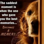 Sherry Davis Bice - Facebook
