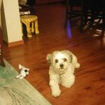 Sherry Bonner - @sherry.bonner.73 - Instagram