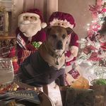 Sherry Alboszta Boyce - @saboyce2 - Instagram