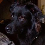 Sherry Boyer - @zombiimom - Instagram
