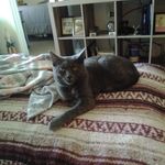 Sherry Boynton - @boynton5565 - Instagram