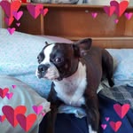 Sherry Bozek - @sherry.bozek - Instagram