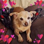 Sherry Bracken - Facebook
