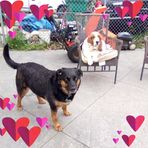 Sherry Bracken - Facebook