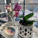 Sherry Brady - @sherryb603 - Instagram