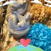 Sherry Brasher - Facebook