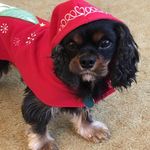 Sherry Braun - @sherry.braun1 - Instagram