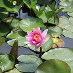 Sherry Brenner - @brenner4674 - Instagram