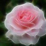 Sherry Briscoe - @briscoesherry - Instagram