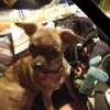 Sherry Burchfield725 - @sherryburchfield73 - TikTok