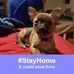Sherry Burchfield - Facebook