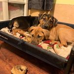Sherri Burgin Mills - @sherim53 - Instagram