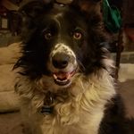 Sherry Burt - @annie_burt - Instagram