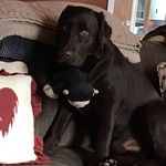 Sherry Burt Wadden - @sherrywadden - Instagram