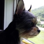 Sherry Calloway - @skippycalloway1 - Instagram