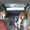 Sherry Capps - @sherrykonsewicz - TikTok