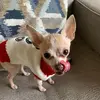 Sherry - @sherrycapps327 - TikTok