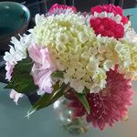 Sherry Carr - @samisaprincess1 - Instagram