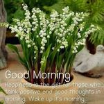 Sherry Carrington - @sherry.carrington.9 - Instagram