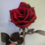 Sherry Carruth - @sherry.carruth.18 - Instagram