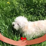 Sherry Carver - @sherry.carver56 - Instagram