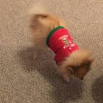 Sherry Carver - @mimi.carver5 - Instagram