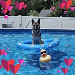 Sherry Carver Jolly - @01jollytime - Instagram