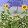 sherrycarver380 - @sherrycarver380 - TikTok