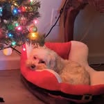 Sherry Casey - @sherry.casey.5 - Instagram