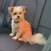 Sherry Casey - @sherry.casey74 - TikTok