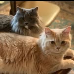 Sherry&Casey - @delphiymzk - Instagram