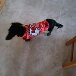 Sherry Castleberry - @grannycberry - Instagram