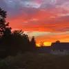 catlinshery - @catlinshery - TikTok