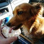 Sherry Champion - @smarter92603 - Instagram