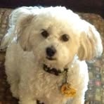 Sheri Champlin - Facebook