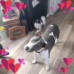 Sherry Clinton - @stxshereec - Instagram