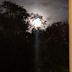 Sherry Coker - @sherrycokeragent - Instagram