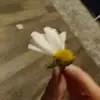 sherryanncokerree - @sherryanncokerree - TikTok
