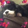 Sherry Combs - @sherry.combs7 - TikTok
