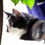 Sherry L. Combs - @sherrycombs75 - Instagram