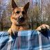 Sherry McCormack - Facebook