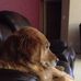 Sherry Cramer - Facebook