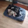Sherry Cramer - @sherry.cramer5 - TikTok