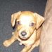Sherry Crouse - Facebook