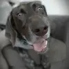 Sherry Crowe-Swords - @sherry.crowesword - TikTok