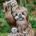 Sherry Curtis - Facebook