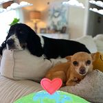 Sherry Thompson Daniel - @sherrydaniel - Instagram