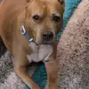 Sherry Deaton-Bugle - @sherry.deatonbugl - TikTok