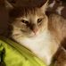 Sherry Deel - Facebook